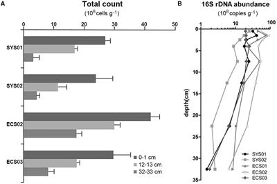 Sediment Depth-Dependent Spatial Variations of Bacterial Communities in Mud Deposits of the Eastern China Marginal Seas